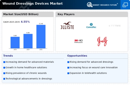 Wound Dressings Devices Market Infographic