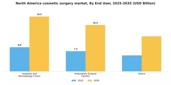 North America Cosmetic Surgery Market Segment Image 0