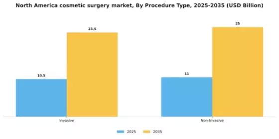 North America Cosmetic Surgery Market Segment Image 1