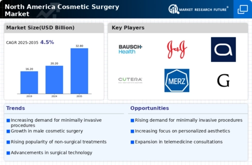 North America Cosmetic Surgery Market Infographic