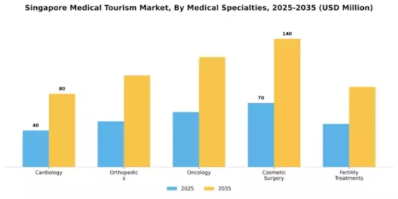 Singapore Medical Tourism Market Segment Image 0