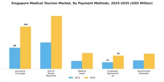 Singapore Medical Tourism Market Segment Image 2