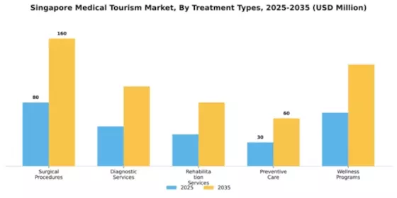 Singapore Medical Tourism Market Segment Image 3