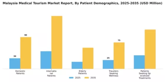Malaysia Medical Tourism Market Segment Image 1