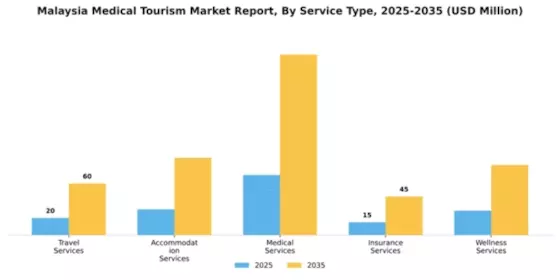 Malaysia Medical Tourism Market Segment Image 2