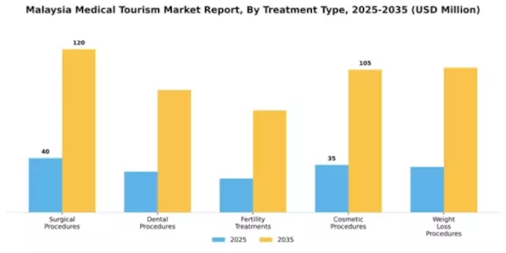 Malaysia Medical Tourism Market Segment Image 3