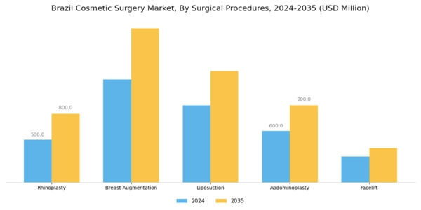 Brazil Cosmetic Surgery Market Segment Image 0