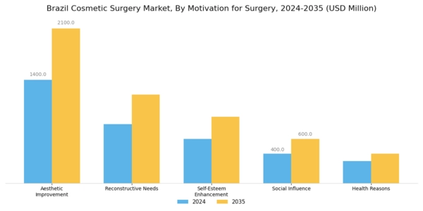 Brazil Cosmetic Surgery Market Segment Image 3
