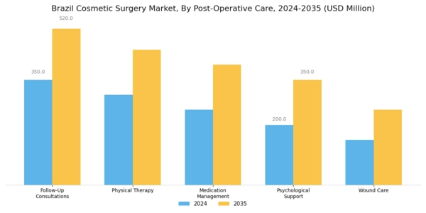 Brazil Cosmetic Surgery Market Segment Image 4