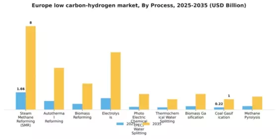 Europe low carbon hydrogen market Segment Image 2