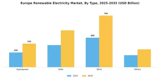Europe Renewable Electricity Market Segment Image 0