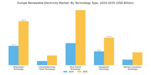Europe Renewable Electricity Market Segment Image 1