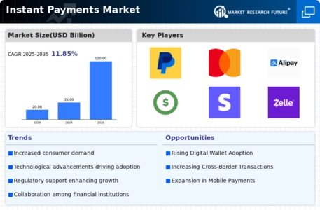 Instant Payments Market Infographic