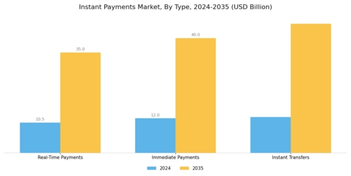 Instant Payments Market Segment Image 0