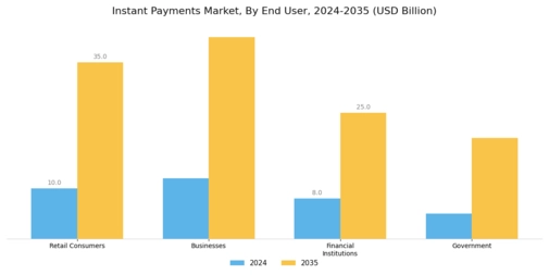 Instant Payments Market Segment Image 1