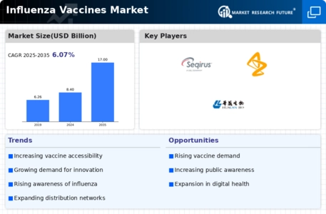 Influenza Vaccination Market Infographic