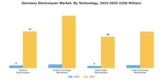 Germany Electrolyzer Market Segment Image 2