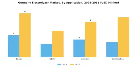 Germany Electrolyzer Market Segment Image 1