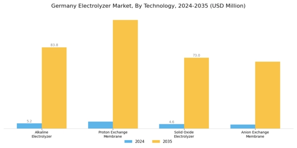 Germany Electrolyzer Market Segment Image 0