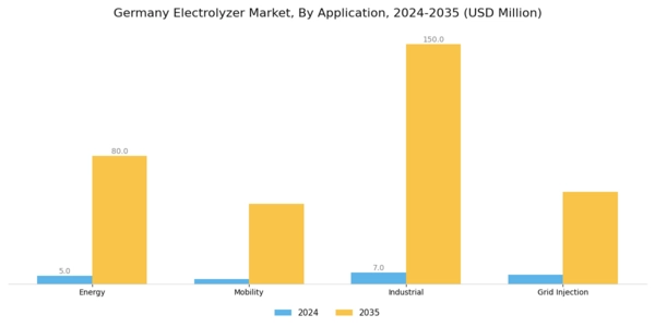 Germany Electrolyzer Market Segment Image 1