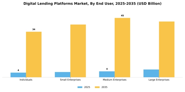 Digital Lending Platforms Market Segment Image 1