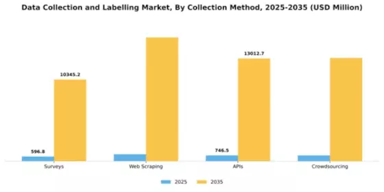 Data Collection and Labelling Market Segment Image 1