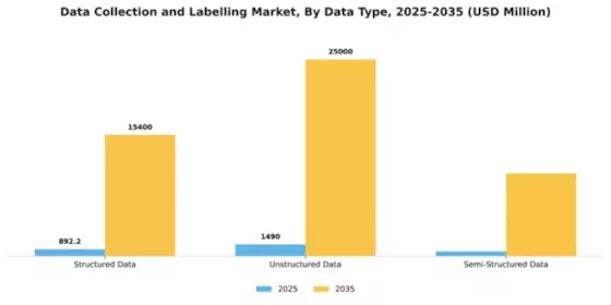 Data Collection and Labelling Market Segment Image 2