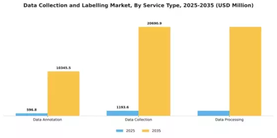 Data Collection and Labelling Market Segment Image 4