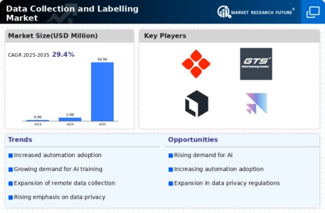 Data Collection and Labelling Market Infographic