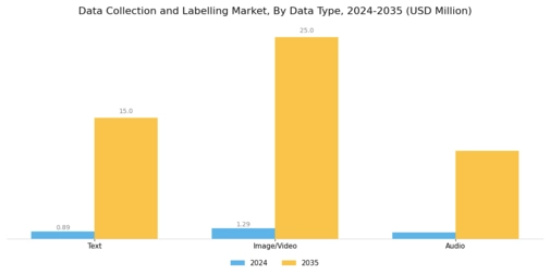 Data Collection and Labelling Market Segment Image 0