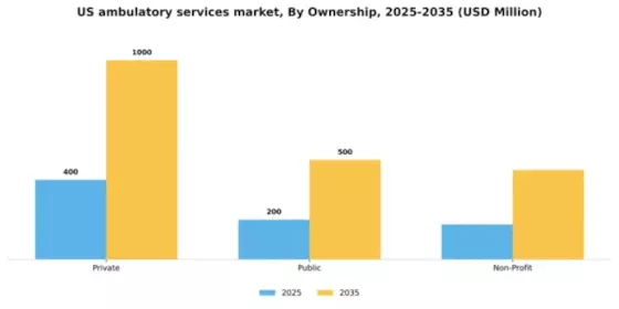 US Ambulatory Services Market Segment Image 0