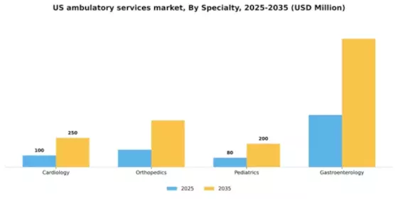 US Ambulatory Services Market Segment Image 1