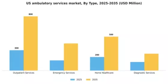 US Ambulatory Services Market Segment Image 3