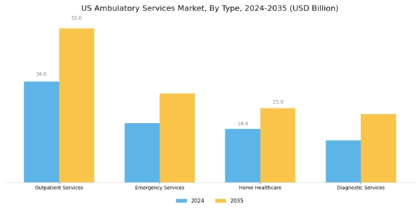 US Ambulatory Services Market Segment Image 0