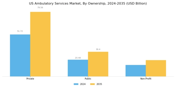 US Ambulatory Services Market Segment Image 1