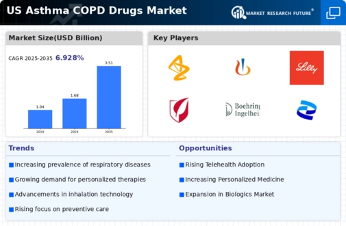 US Asthma COPD Drugs Market Infographic