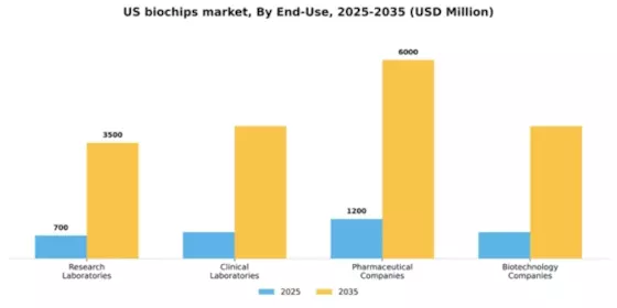 US Biochips Market Segment Image 1