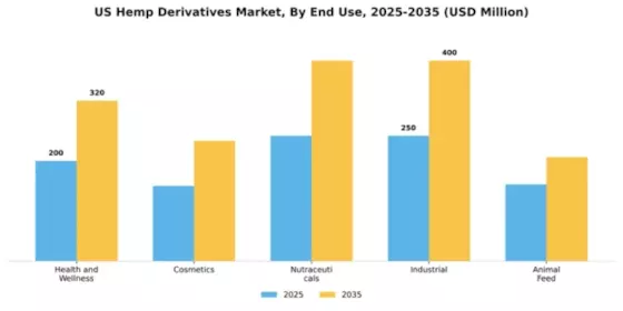 US Hemp Derivatives Market Segment Image 2