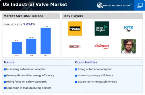 US Industrial Valve Market Infographic