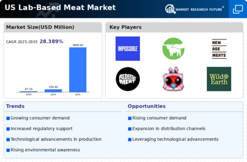 US Lab Based Meat Market Infographic