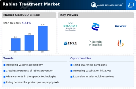 Rabies Treatment Market Infographic