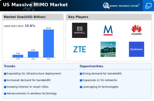 US Massive MIMO Market Infographic