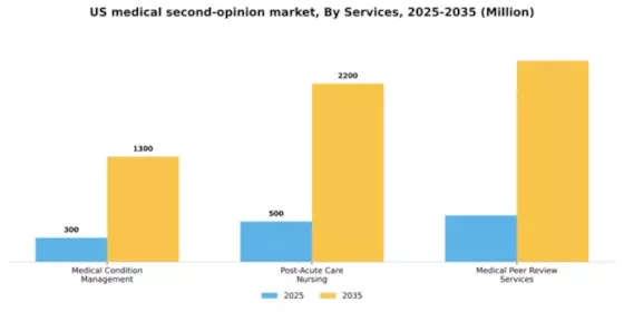 US Medical Second Opinion Market Segment Image 1