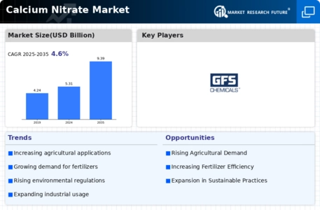 Calcium Nitrate Market Infographic