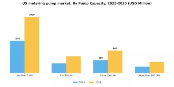 US Metering Pump Market Segment Image 2