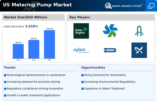 US Metering Pump Market Infographic