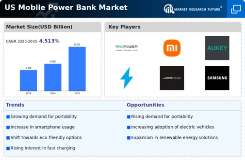 US Mobile Power Bank Market Infographic