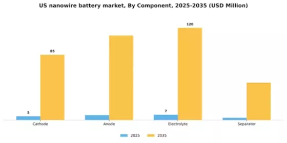 US Nanowire Battery Market Segment Image 1