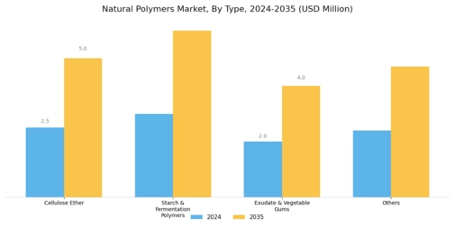 Natural Polymer Market Segment Image 0