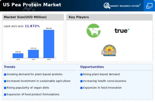 US Pea Protein Market Infographic
